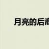月亮的后裔（關于月亮的后裔的介紹）