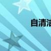 自清潔（關于自清潔的介紹）