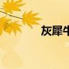 灰犀牛（關于灰犀牛的介紹）
