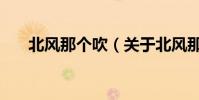 北風那個吹(關于北風那個吹的介紹)