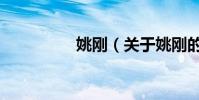 姚剛(關于姚剛的介紹)