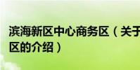 濱海新區中心商務區(關于濱海新區中心商務區的介紹)