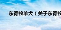 東德牧羊犬(關于東德牧羊犬的介紹)