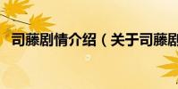 司藤劇情介紹(關于司藤劇情介紹的介紹)