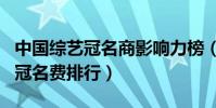 中國綜藝冠名商影響力榜(國內頂級綜藝節目冠名費排行)