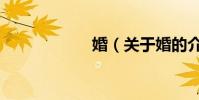 婚(關于婚的介紹)