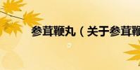 參茸鞭丸(關于參茸鞭丸的介紹)