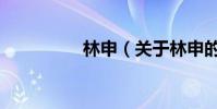 林申(關于林申的介紹)