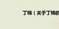 丁楠(關于丁楠的介紹)