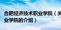合肥經濟技術職業學院(關于合肥經濟技術職業學院的介紹)
