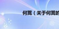 何翯(關于何翯的介紹)