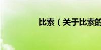 比索(關于比索的介紹)