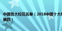 中國各大校花名單(2018中國十大校花四千年第一美女也才第四)