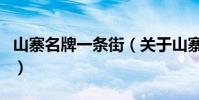 山寨名牌一條街(關于山寨名牌一條街的介紹)