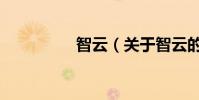 智云(關于智云的介紹)