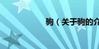 駒(關于駒的介紹)