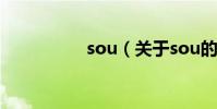 sou(關于sou的介紹)