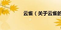 云雀(關于云雀的介紹)