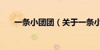 一條小團團(關于一條小團團的介紹)