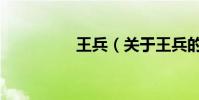 王兵(關于王兵的介紹)