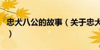 忠犬八公的故事(關于忠犬八公的故事的介紹)