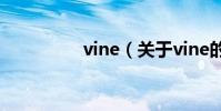 vine(關于vine的介紹)