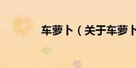 車蘿卜(關于車蘿卜的介紹)