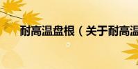耐高溫盤根(關于耐高溫盤根的介紹)