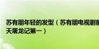 蘇有朋年輕的發型(蘇有朋電視劇前十名:絕代雙驕上榜倚天屠龍記第一)