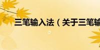 三筆輸入法(關于三筆輸入法的介紹)