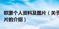 歐豪個人資料及圖片(關于歐豪個人資料及圖片的介紹)