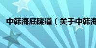 中韓海底隧道(關于中韓海底隧道的介紹)