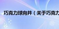 巧克力球向井(關于巧克力球向井的介紹)