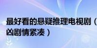 最好看的懸疑推理電視劇(法醫秦明與白夜追兇劇情緊湊)