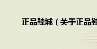 正品鞋城(關于正品鞋城的介紹)