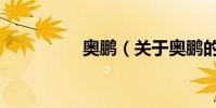 奧鵬(關于奧鵬的介紹)