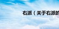 右派(關于右派的介紹)