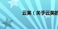 云英(關于云英的介紹)