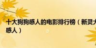 十大狗狗感人的電影排行榜(新靈犬萊西真實故事改編相當感人)