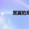 黑翼陷窟（關于黑翼陷窟的介紹）