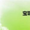 寶璣（關于寶璣的介紹）