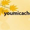 youmicache（關于youmicache的介紹）