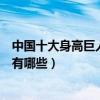 中國十大身高巨人排行榜（中國最高的人盤點中國身高巨人有哪些）