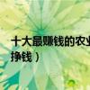 十大最賺錢的農業項目（農業致富好項目盤點在農村干什么掙錢）