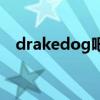 drakedog吧（關于drakedog吧的介紹）