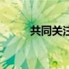 共同關注（關于共同關注的介紹）