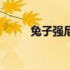 兔子強尼（關于兔子強尼的介紹）