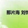 那片海 劉忻（關于那片海 劉忻的介紹）