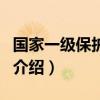 國家一級保護動物（關于國家一級保護動物的介紹）