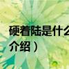 硬著陸是什么意思（關于硬著陸是什么意思的介紹）